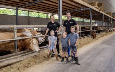 Buitengebied in Beeld:  Van Zeeland Vleesvee BV en Hemelrijk Blondes