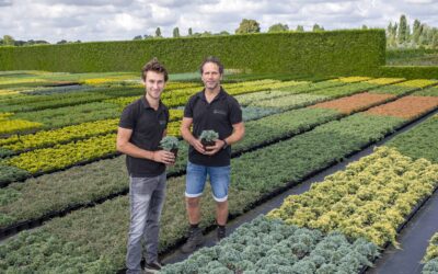 Buitengebied in Beeld:    Sierteeltkwekerij Kools
