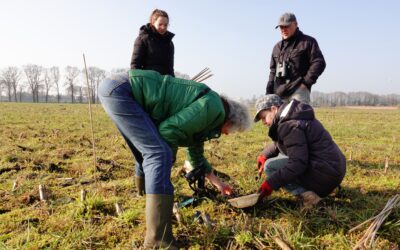 Buitengebied in Beeld:  Fauna en weidevogelbescherming