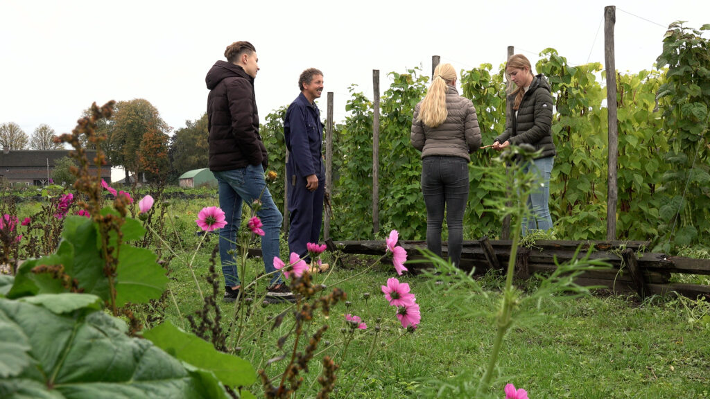 Leerlingen maken opdracht bij de stokbonen
