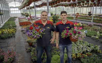 Buitengebied in Beeld:   Penninx-Jonker Snijbloemen & Perkplanten