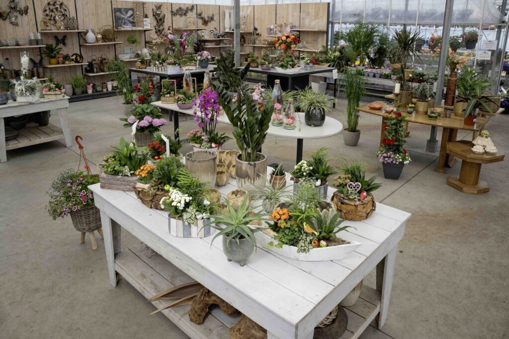 Een kijkje op een deel van het assortiment