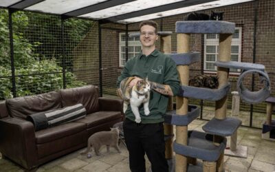 Buitengebied in Beeld:   De Kattenboom