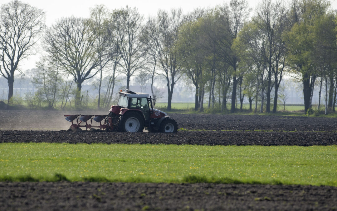 N-metingen ‘de Peel’