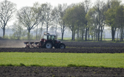 N-metingen ‘de Peel’